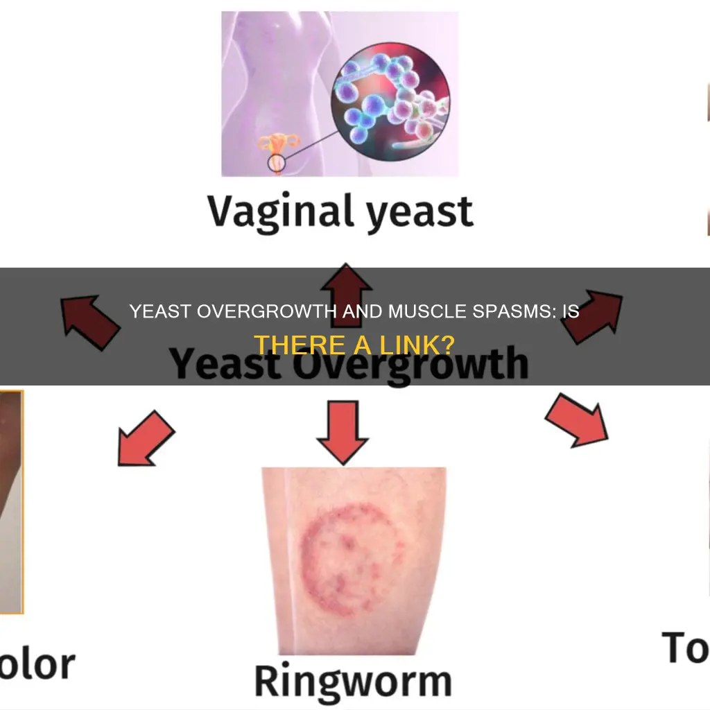 does yeast overgrowth cause muscle spasms