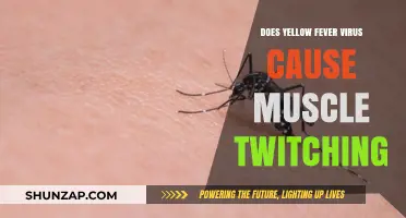 Yellow Fever Virus: Muscle Twitching Explained