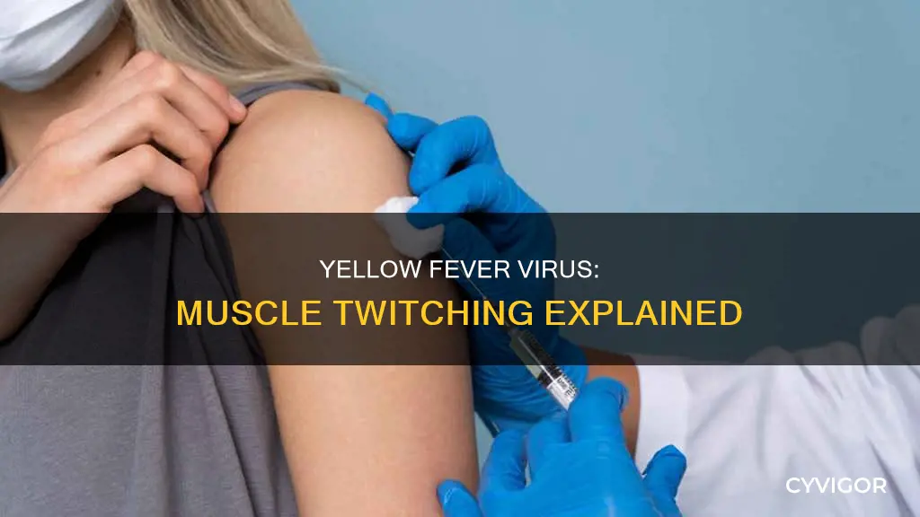 does yellow fever virus cause muscle twitching