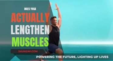 Yoga's Muscle-Lengthening Effects: Fact or Fiction?