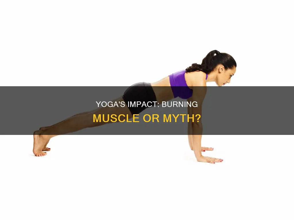 does yoga burn muscle