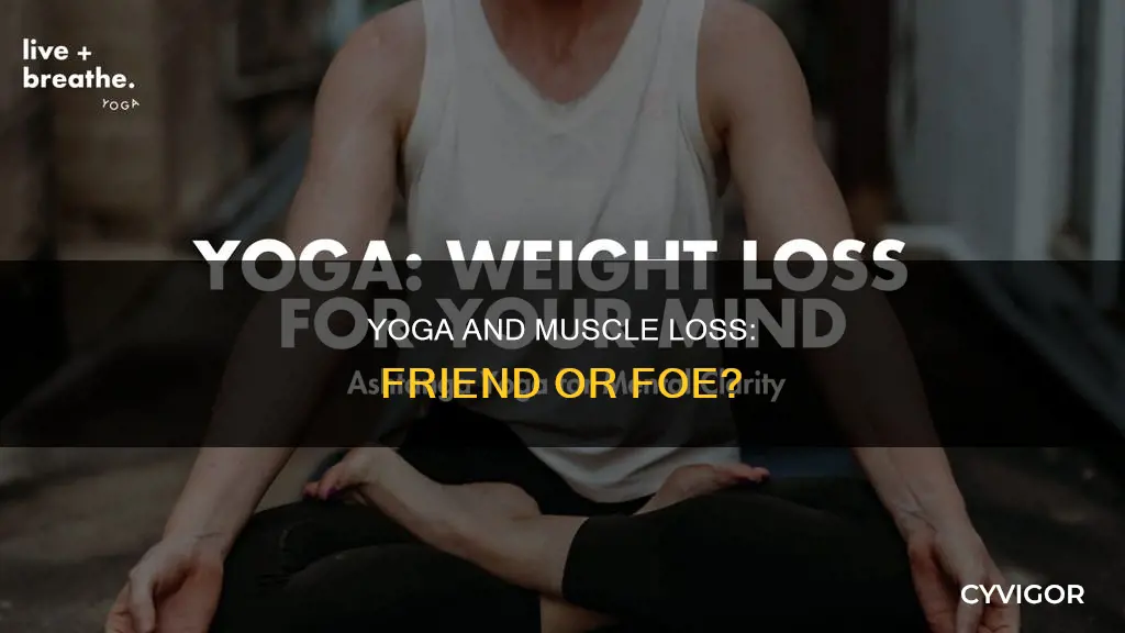 does yoga cause muscle loss