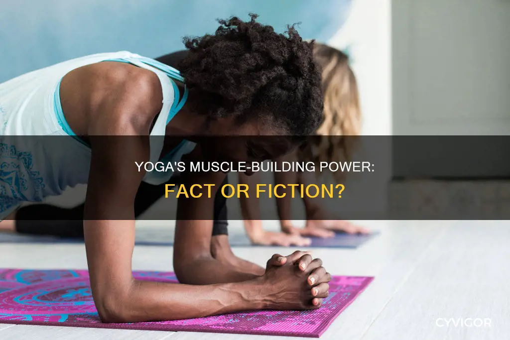 does yoga create muscles