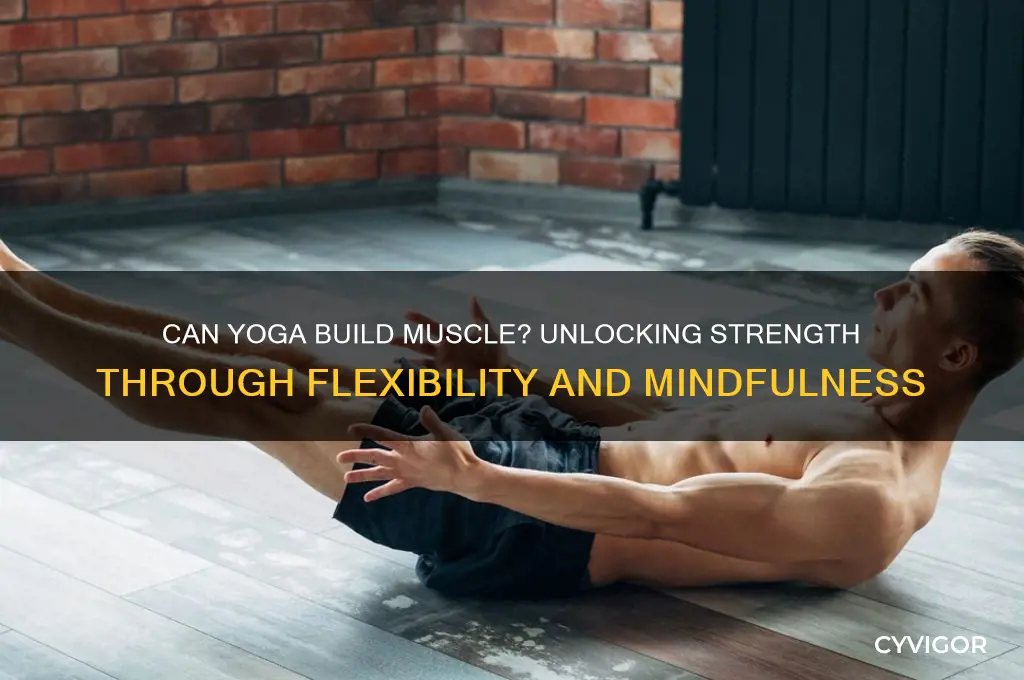 does yoga grow muscle