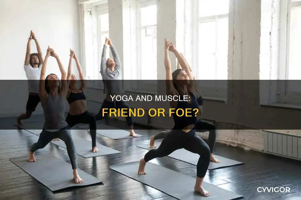 does yoga lean muscle
