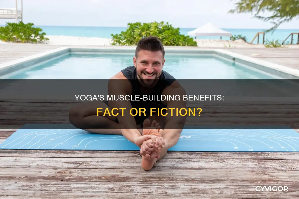 does yoga meet muscle fitness