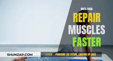Yoga's Healing Power: Muscle Recovery and Repair