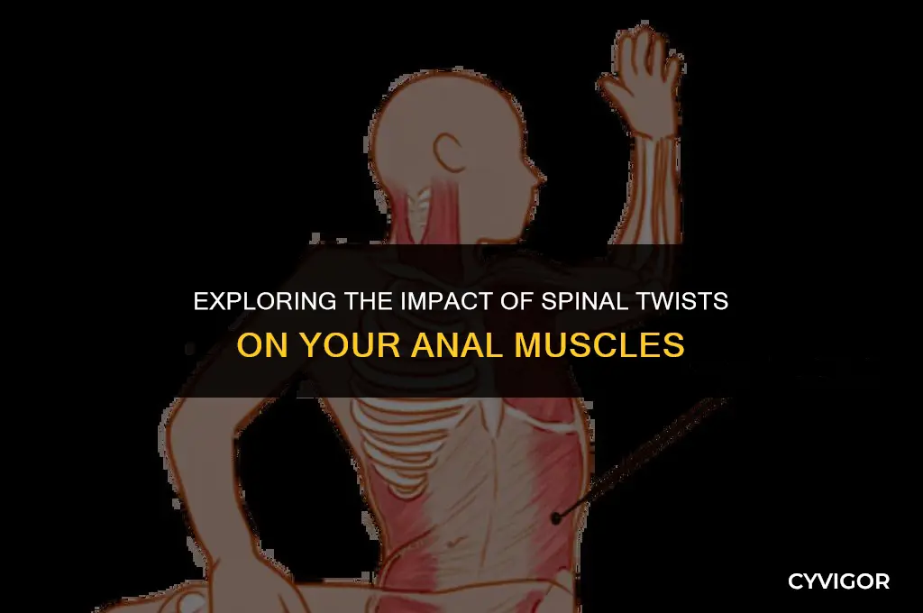 does your anal muscles get affected ifyour spin twists
