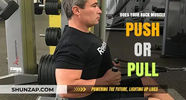 Back Muscles: Understanding Their Role in Pushing vs. Pulling Movements