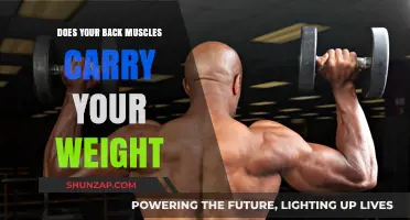 Unveiling the Truth: Do Your Back Muscles Really Carry Your Weight?