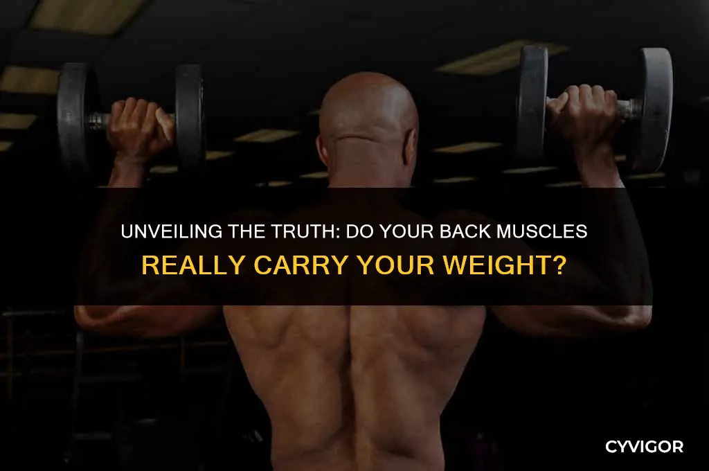 does your back muscles carry your weight