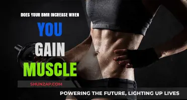 Muscle Gain and BMR: Does Building Muscle Boost Metabolism?