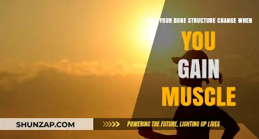 Muscle Gain and Bone Structure: Unraveling the Transformation Connection