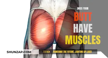 The Muscular Anatomy of Your Buttocks Explained