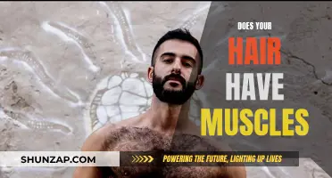 Exploring the Muscular Truth Behind Hair Growth