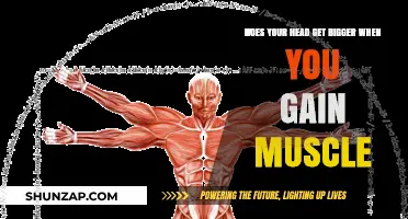 Muscle Gain and Head Size: Fact or Fiction?