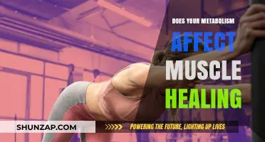 Metabolism's Role in Muscle Recovery: A Comprehensive Guide