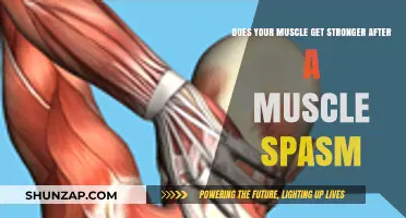Understanding Muscle Spasms: Can They Lead to Increased Strength?