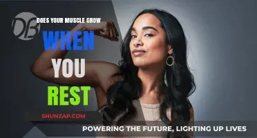 Muscle Growth Secrets: The Power of Rest for Stronger Gains