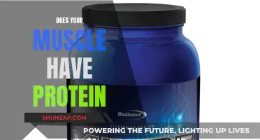 Muscle and Protein: The Essential Relationship