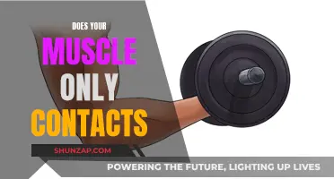 Muscle Contractions: The Science of Movement and Strength