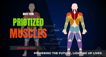 How to Gain Strength in Your Priority Muscles