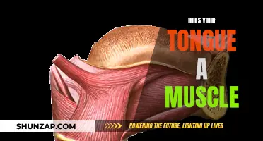 The Tongue: A Muscle with Many Talents