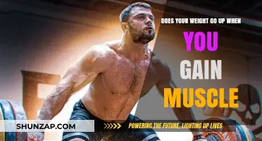 Muscle Gain and Weight: Does Building Muscle Increase Your Weight?