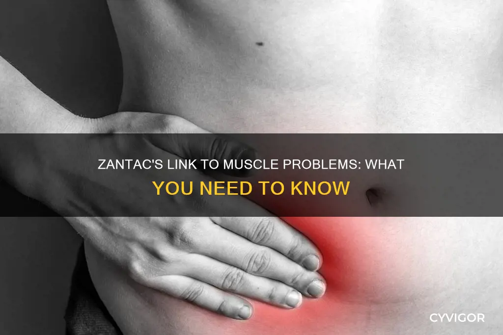 does zantac casue muscle problems
