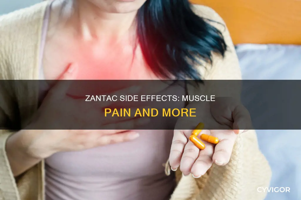 does zantac cause muscle pain