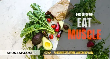 Zepbound's Muscle Impact: What You Need to Know