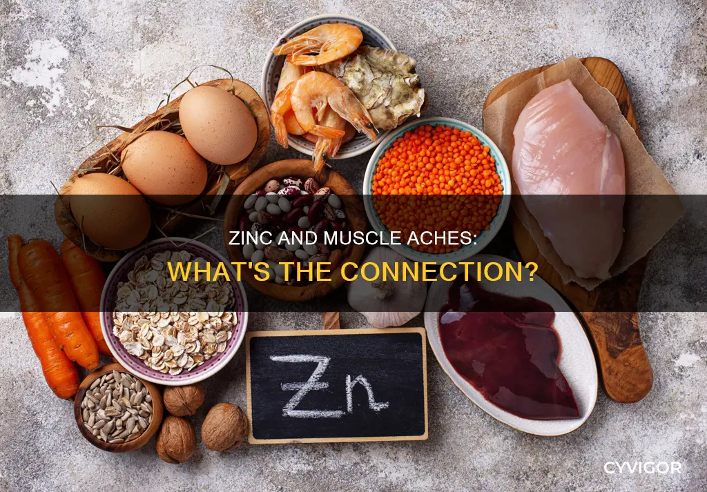 does zinc cause muscle aches