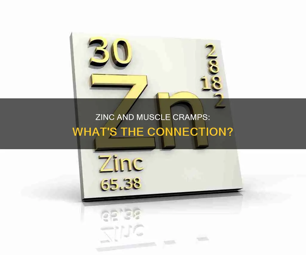 does zinc cause muscle cramps