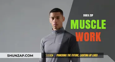 Does Zip Muscle Work? Unveiling the Truth Behind This Fitness Trend