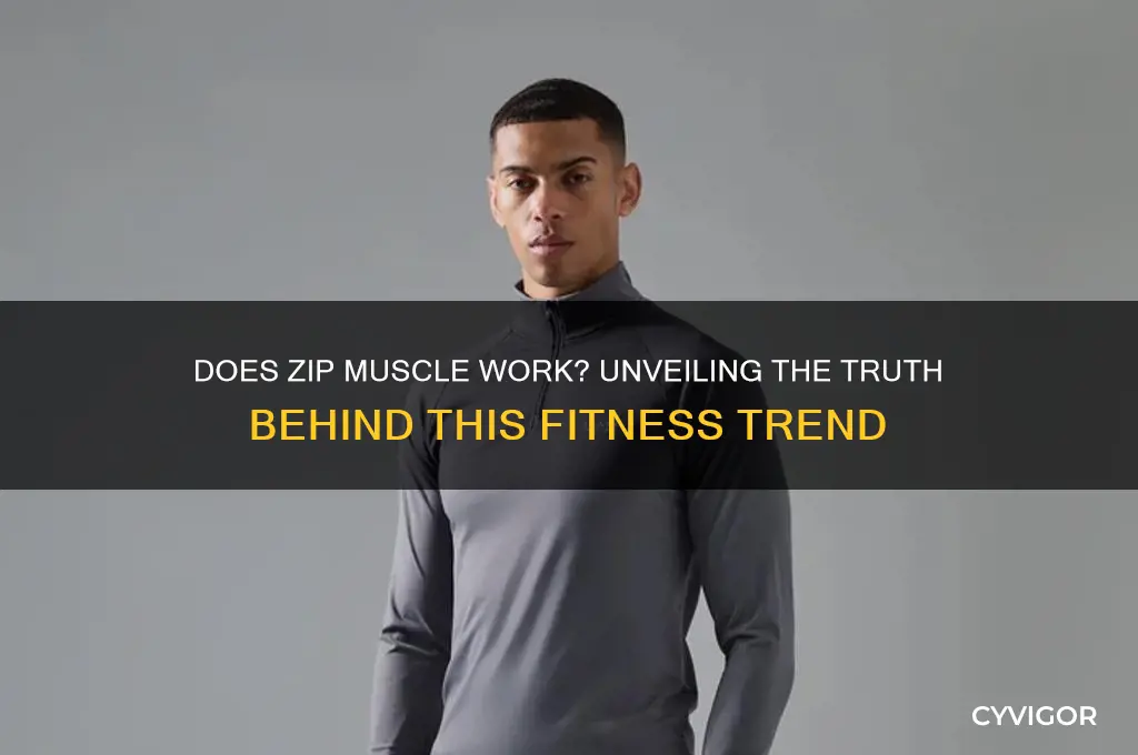 does zip muscle work