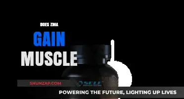 Does ZMA Boost Muscle Growth? Unlocking the Supplement's Potential