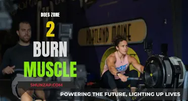 Zone 2 Training: Burning Muscle or Myth?