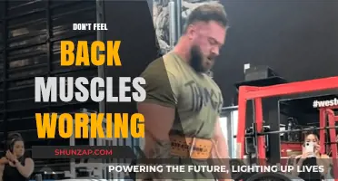Why You’re Not Feeling Your Back Muscles During Workouts: Solutions