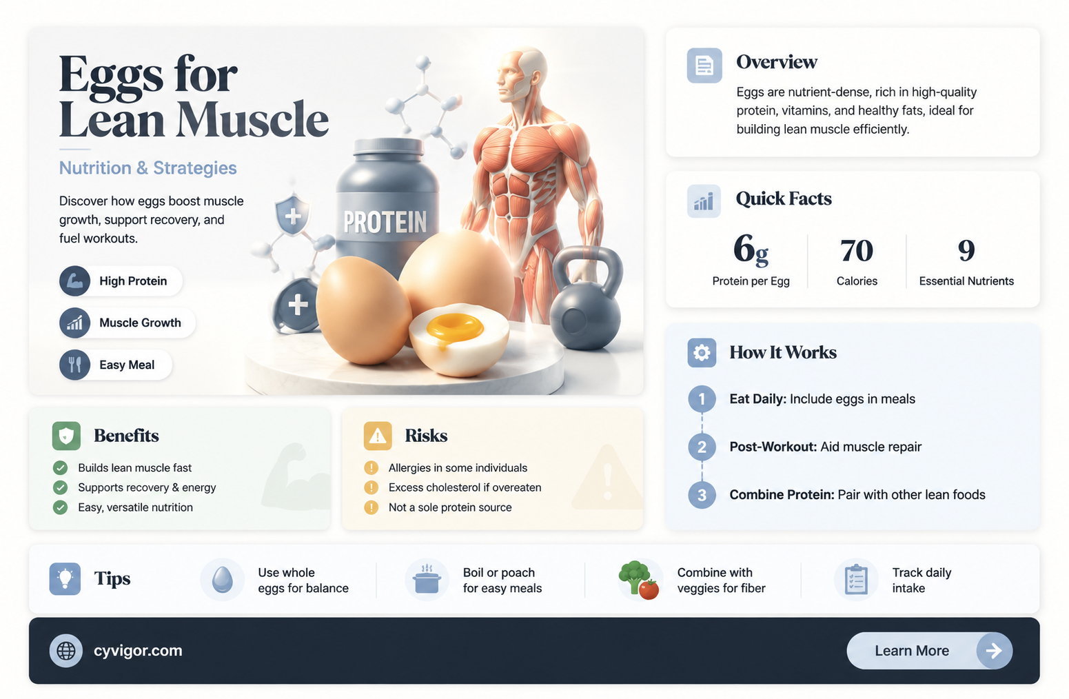 are eggs good for lean muscle