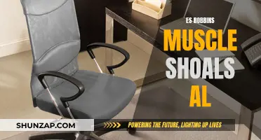 Robbins' Legacy: Muscle Shoals' Musical Muscle