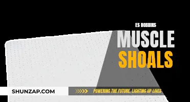 Robbins' Legacy: Muscle Shoals' Musical Muscle