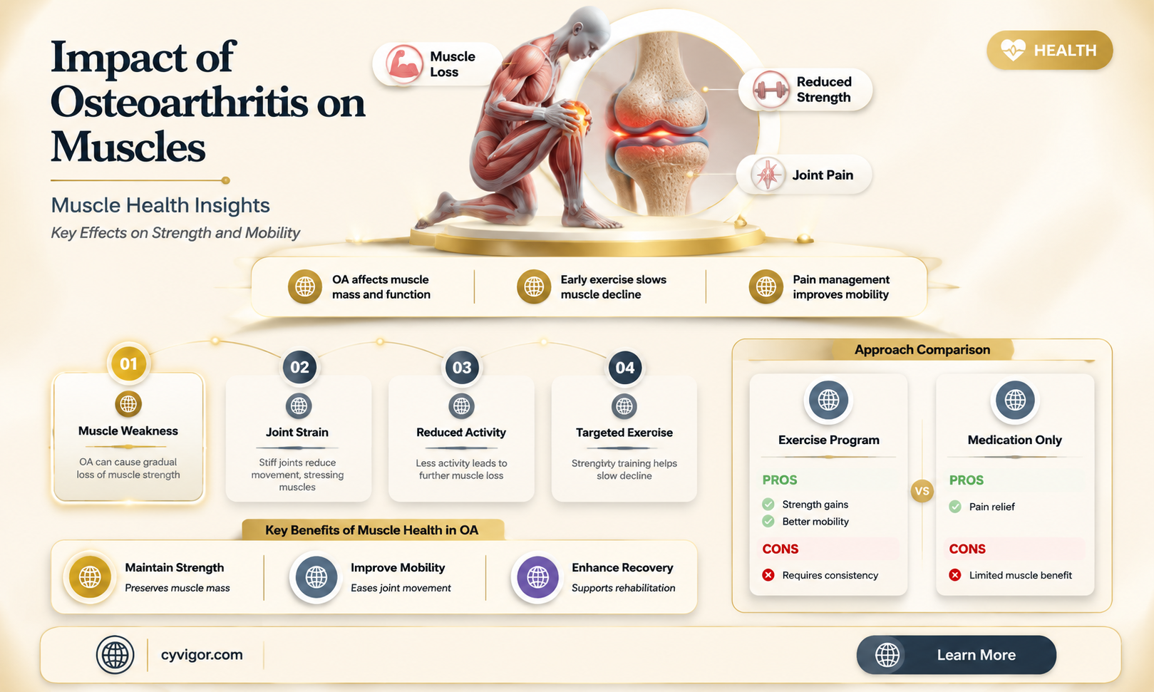 are muscles affected by osteoarthritis