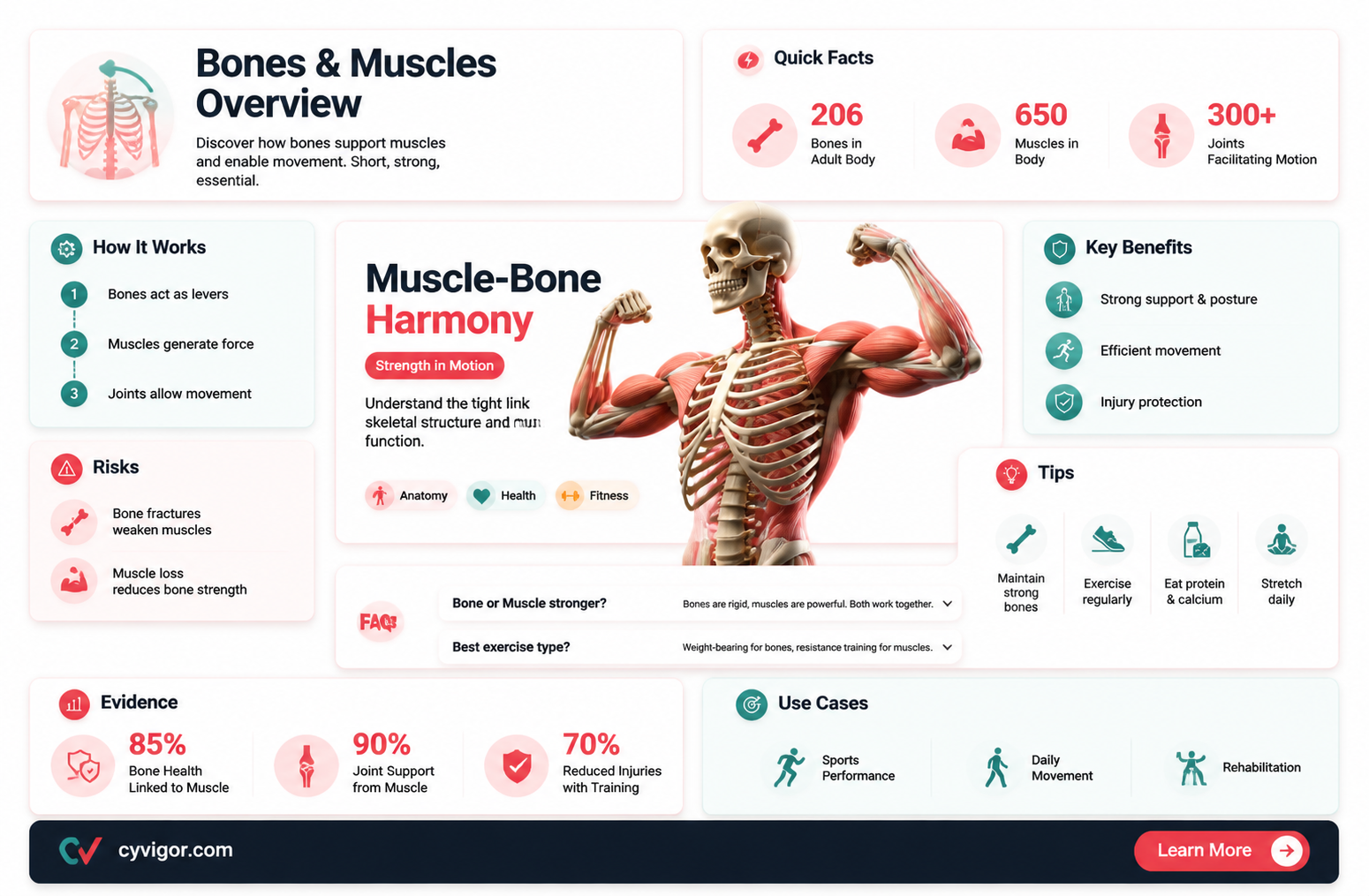 are bones covered by muscles