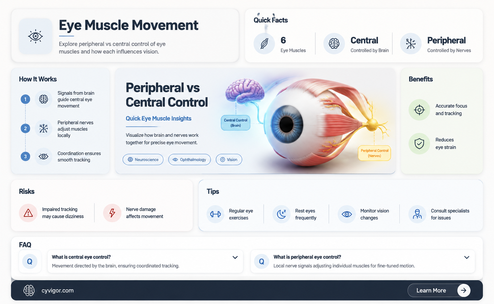 are eye muscles peripheral