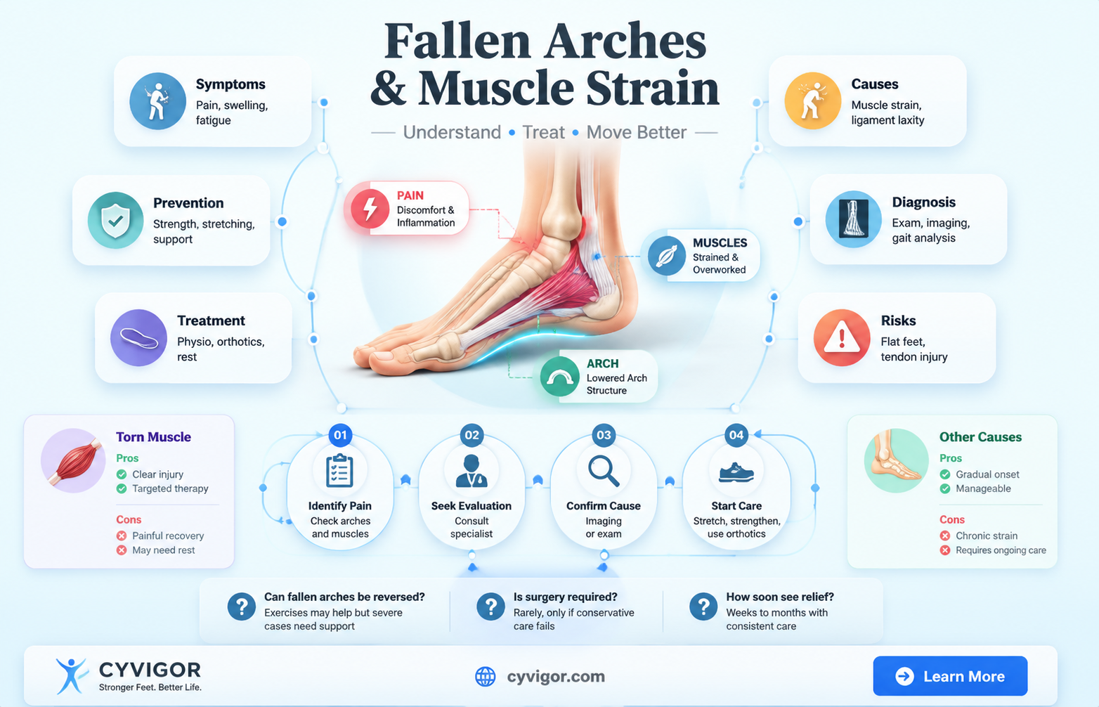 are fallen arches torn muscle