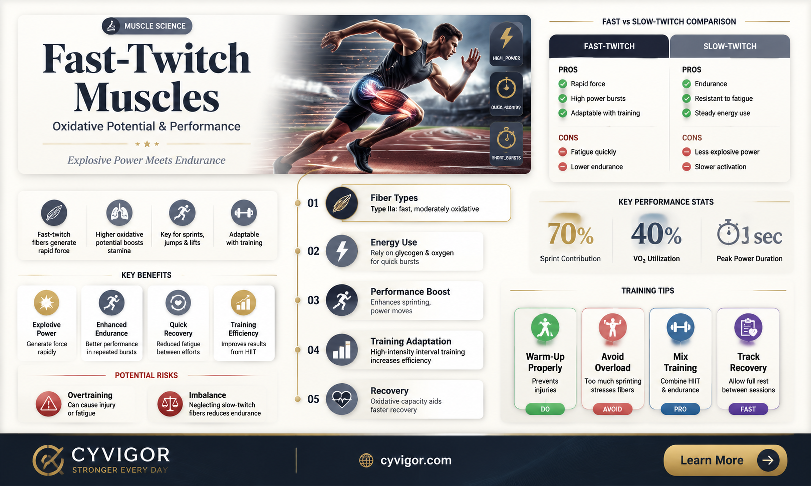 are fast twich muscle oxidative