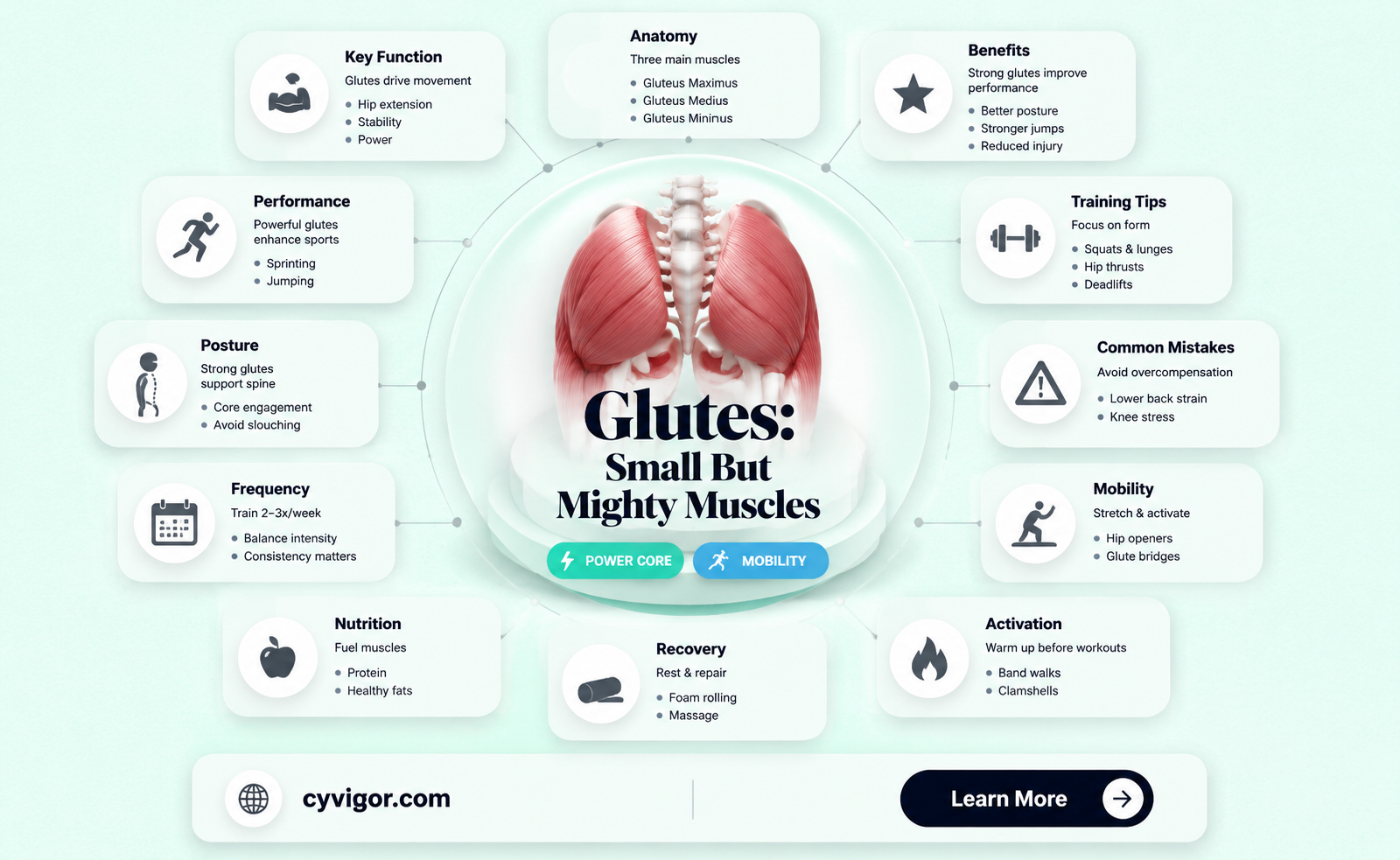 are glutes small muscles