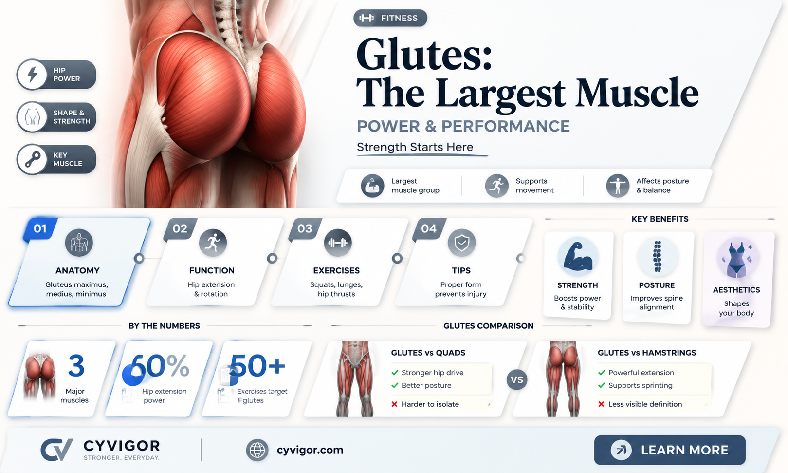 are glutes the biggest muscle
