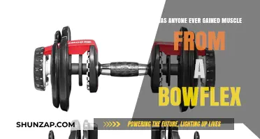 Can Bowflex Build Muscle? Real Results and User Experiences Revealed