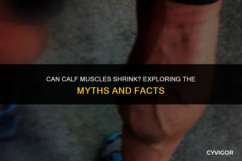 has anyone ever shrunk their calf muscles